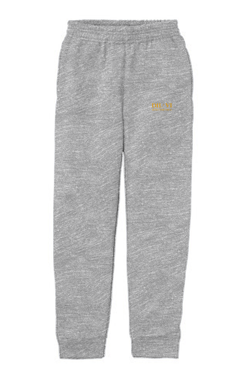 DIL VI Youth Core Fleece Jogger